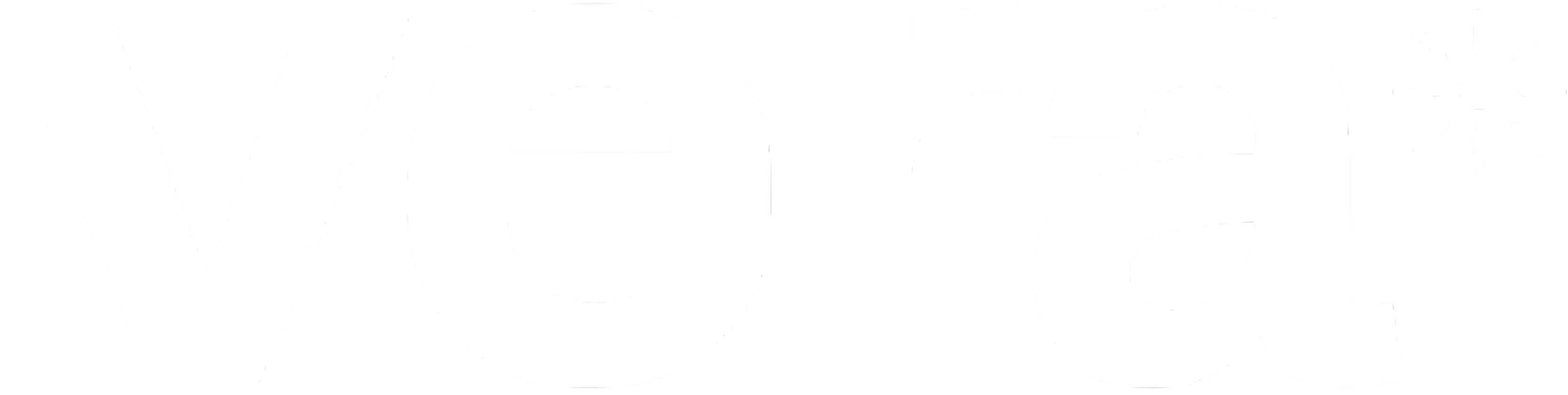 VERA IT Logo
